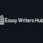 Essay Writers Hub