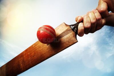 The Rise of Reddy Anna: A Cricket Phenomenon.